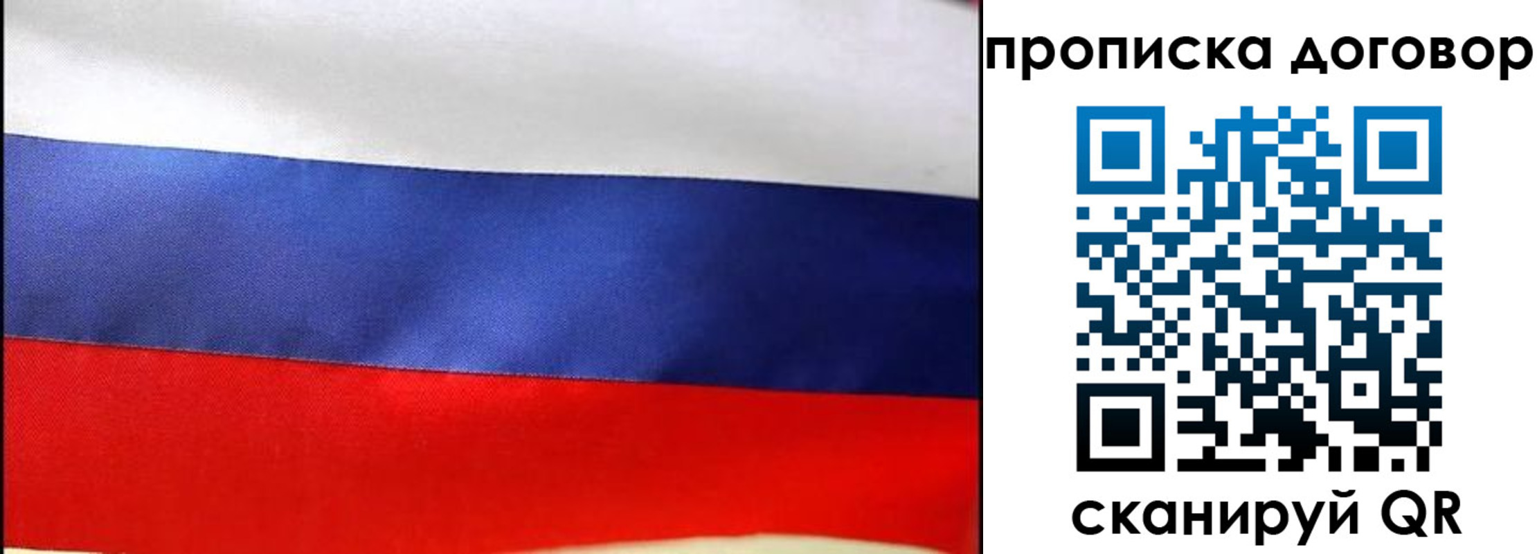 прописка гарантия в Санкт-Петербурге