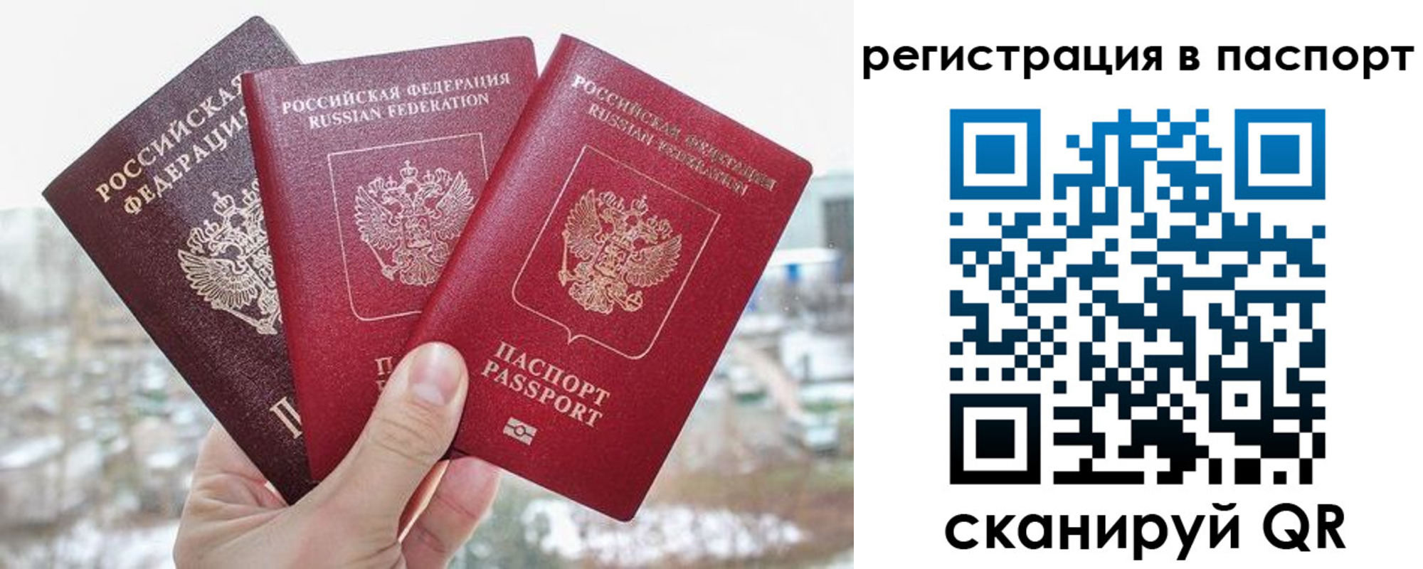 регистрация для школы в Санкт-Петербурге